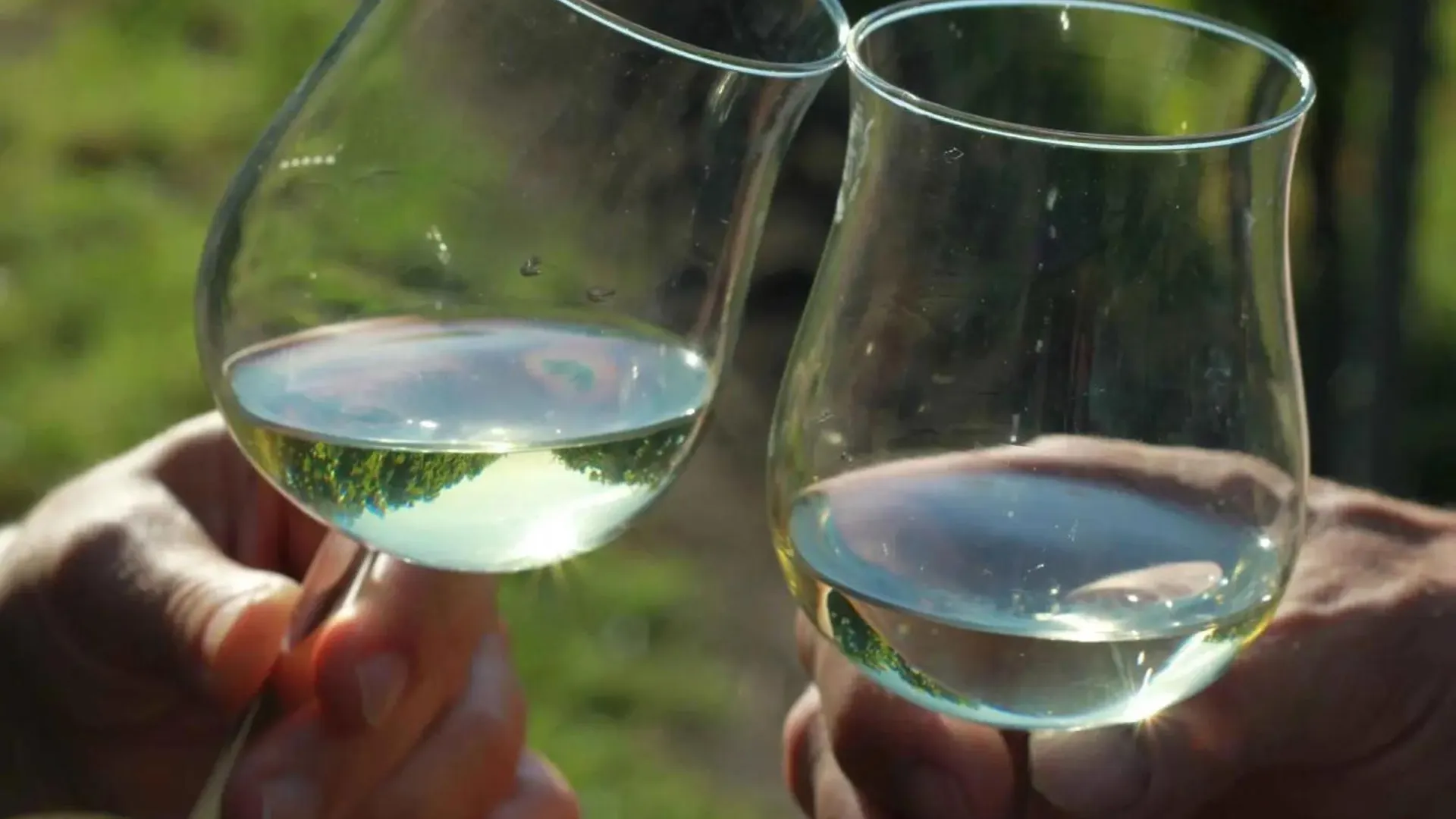 Affittacamere Wein- Und Gaestehaus Lutz Iphofen